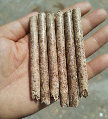 ��ľ����