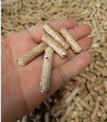 �����ʿ���