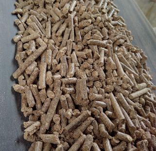 ����ȼ��