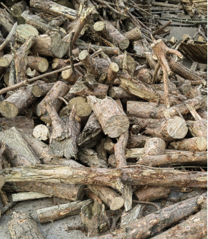 ʵľ����ԭ��